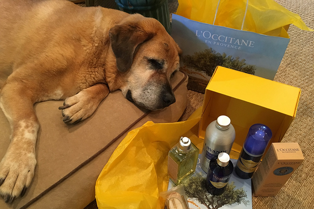 LoccitaneWeb