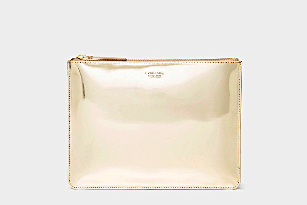 Shine pouch from Everlane